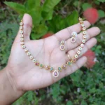 Multi Colour AD Stone Necklace Set