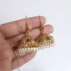Multi Stone Hook Jhumka Earrings