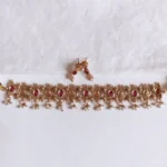 Lakshmi Coin Choker Set